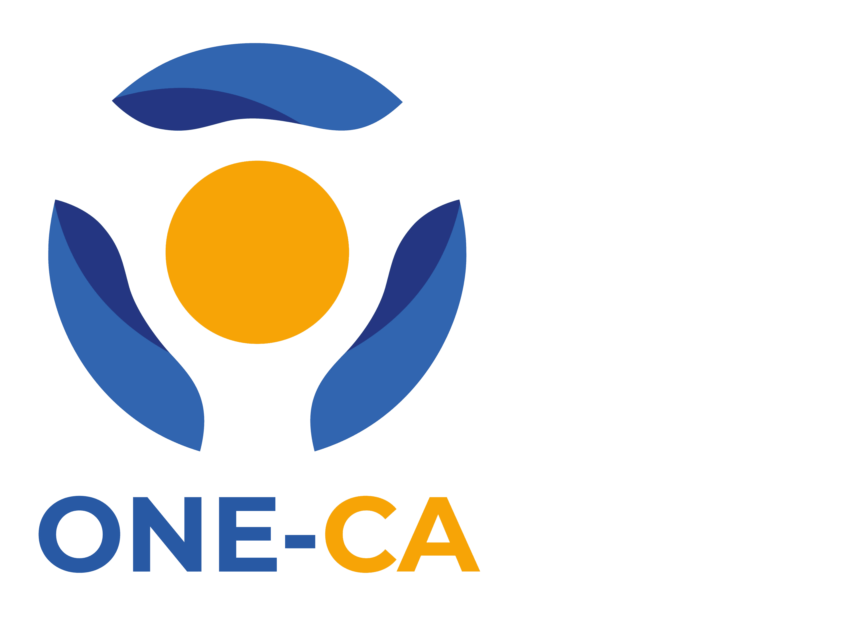 ONE-CA